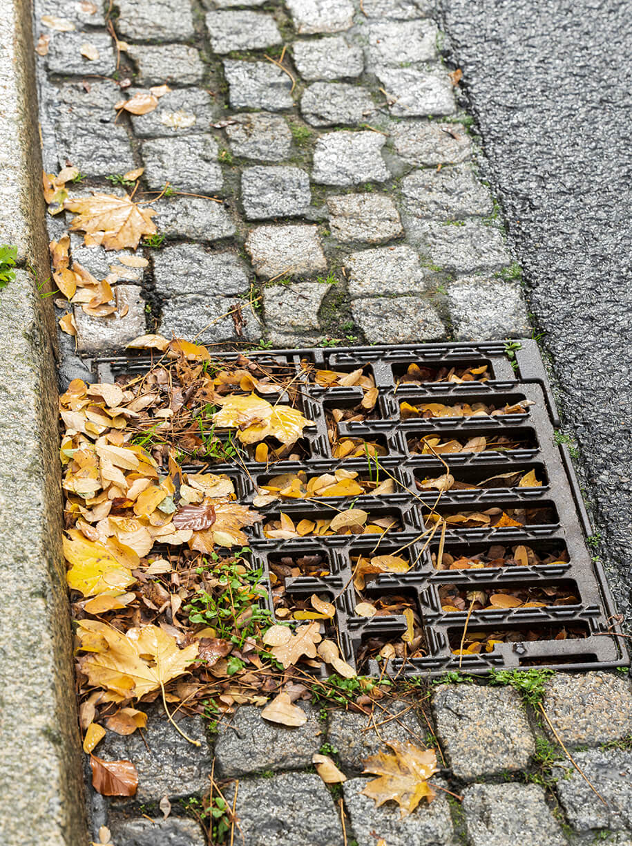 https://www.rohrpilot.de/wp-content/uploads/2024/05/rohrpilot_bodenablauf_typische_probleme.jpg
