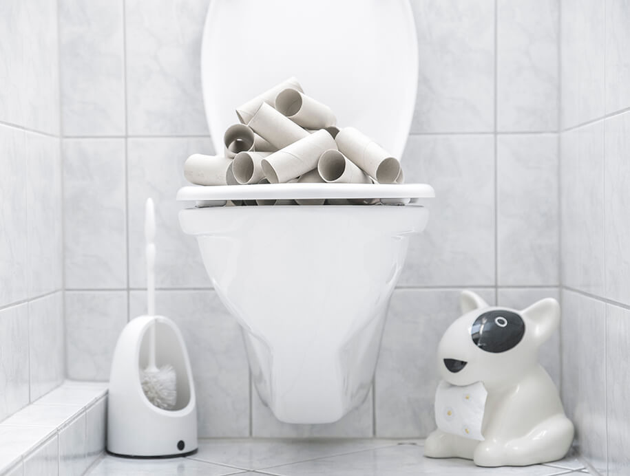 https://www.rohrpilot.de/wp-content/uploads/2024/05/rohrpilot_wc_ursachen_verstopfung.jpg